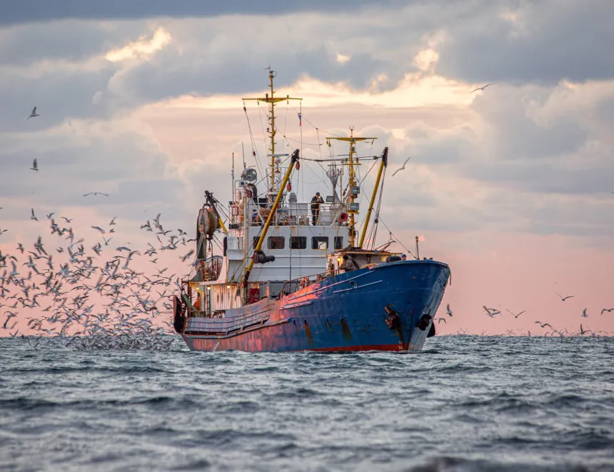 Pesca